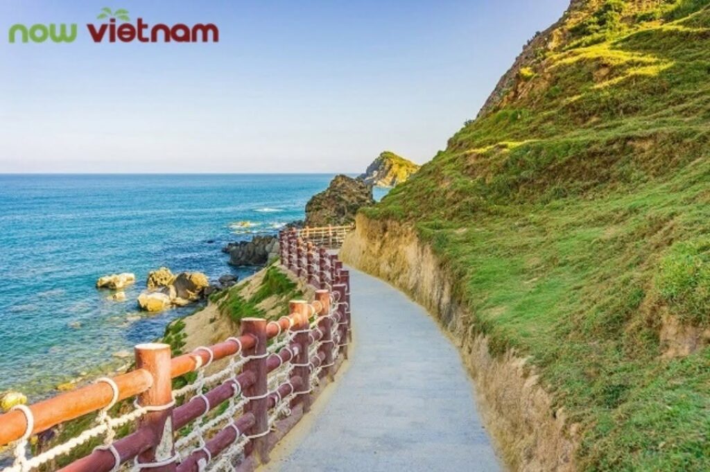 Quy Nhơn Việt Nam Weed